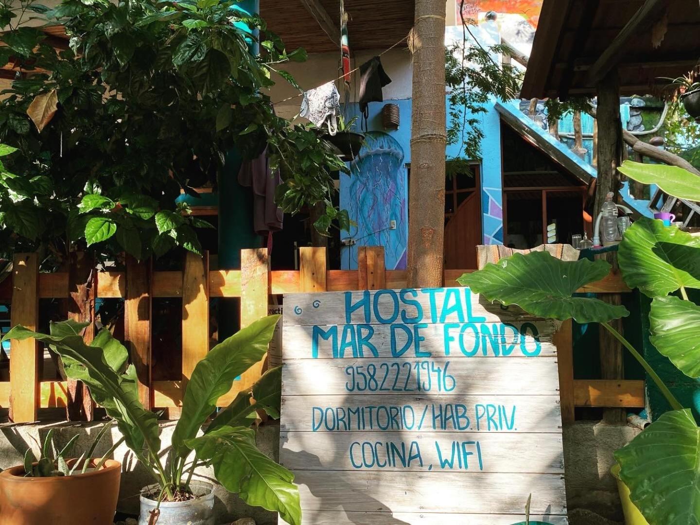 زيبوليت Hostal Mar De Fondo المظهر الخارجي الصورة